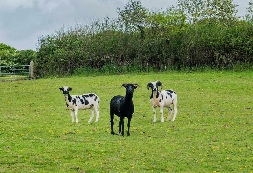 Cusgarne Manor Boutique B&b   Adults Only