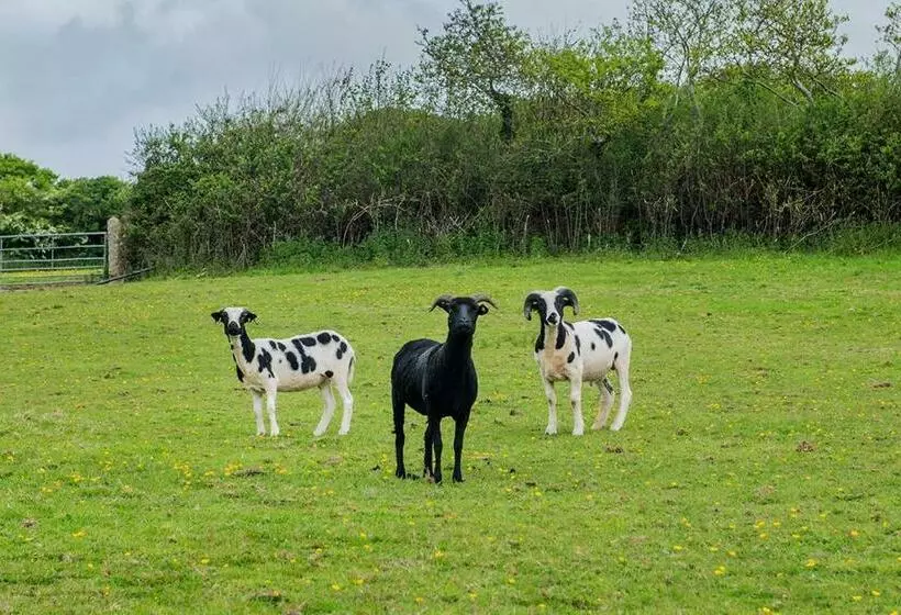 Cusgarne Manor Boutique B&b   Adults Only