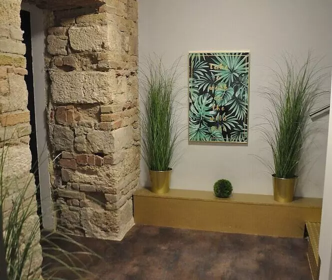 Váralja Home
