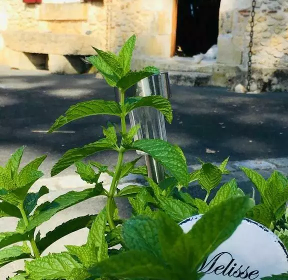 تختخواب و صبحانه Maison Aubergerac