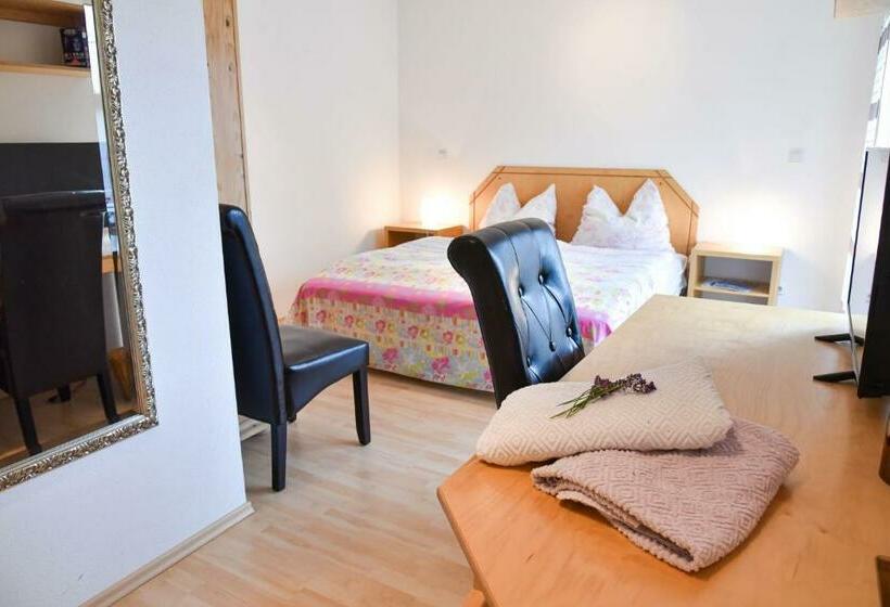 Bed and Breakfast Pension Froschkönig