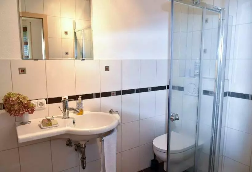 Aamiaismajoitus (B&B) Pension Froschkönig