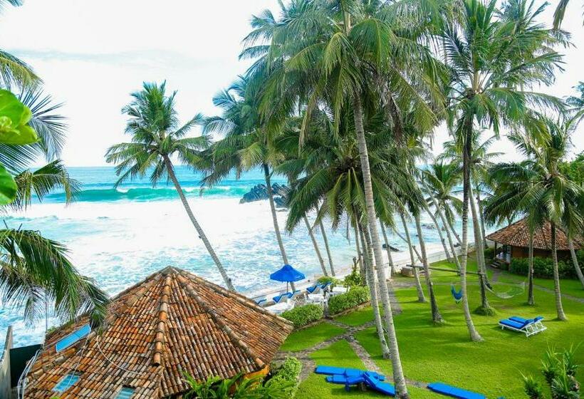 בית מלון כפרי Jayaa Beach