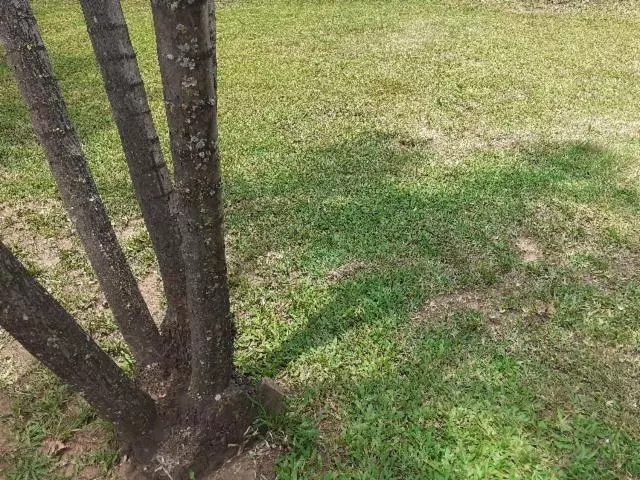 پانسیون Thullyteams Guesthouse