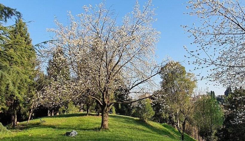 Nocleg ze śniadaniem Villa Flangini