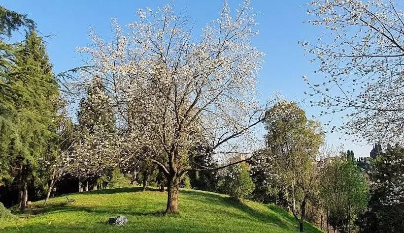 ベッドアンドブレックファースト Villa Flangini