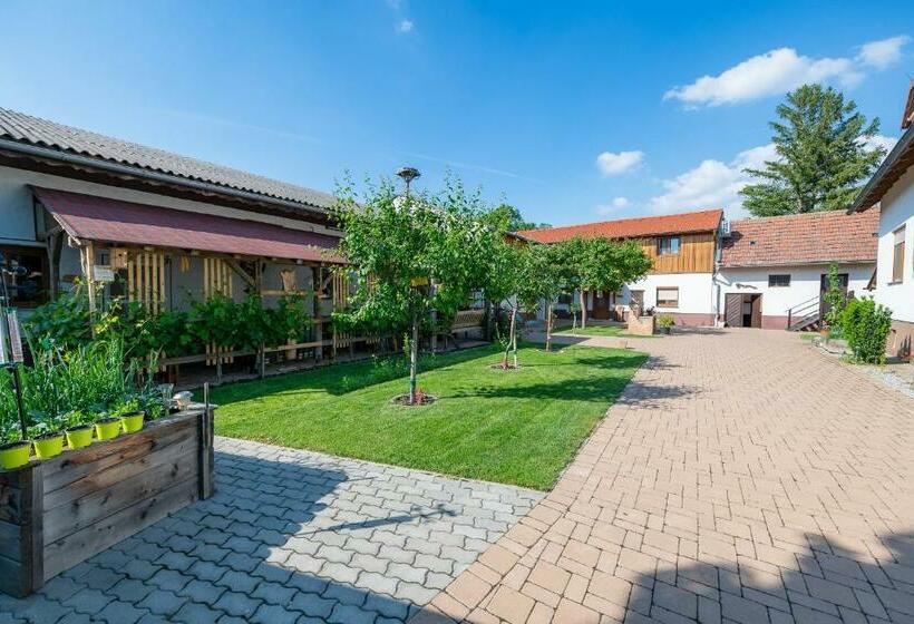 Пансион Dorfzeit Fleischhacker