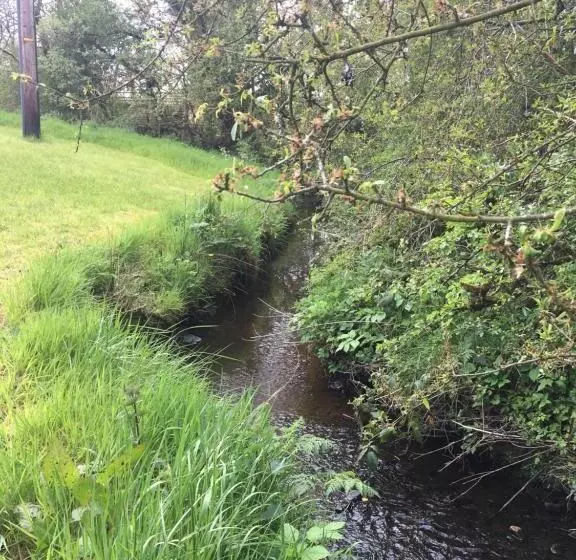 Aamiaismajoitus (B&B) Ferney House