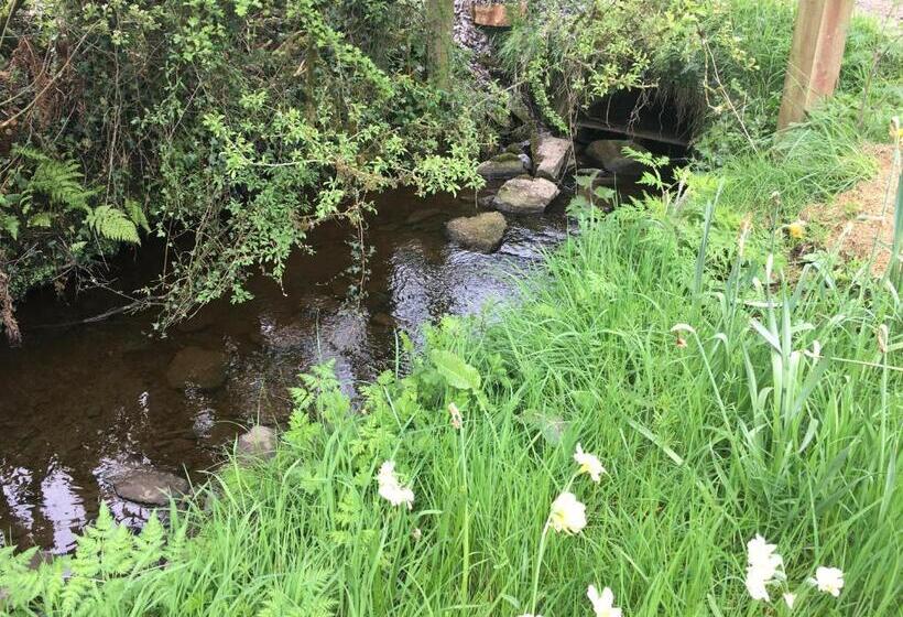 ベッドアンドブレックファースト Ferney House