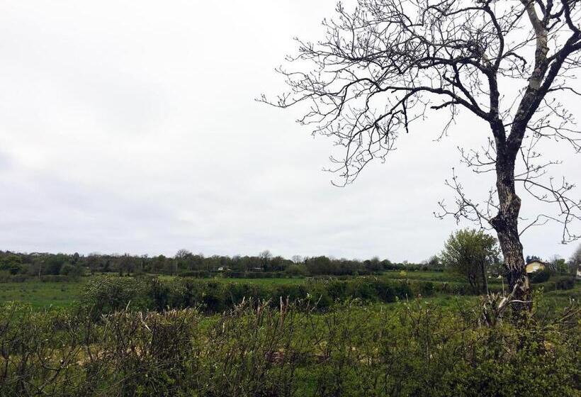 ベッドアンドブレックファースト Ferney House