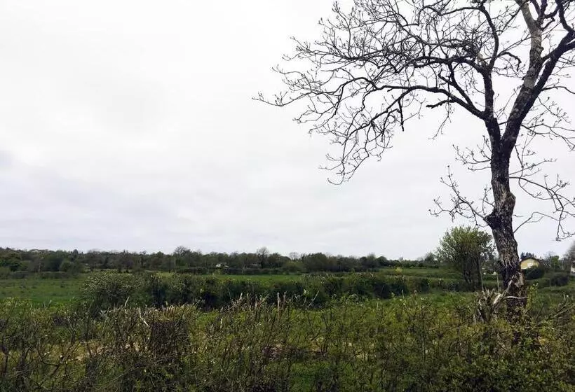 Aamiaismajoitus (B&B) Ferney House