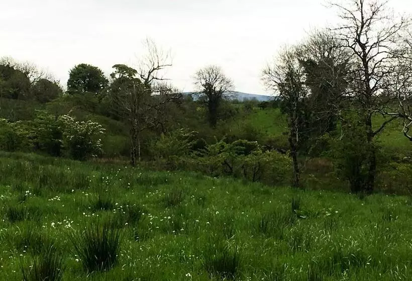 Aamiaismajoitus (B&B) Ferney House