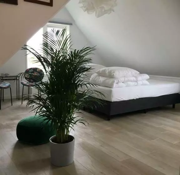 Majatalo Kamers Van Goud