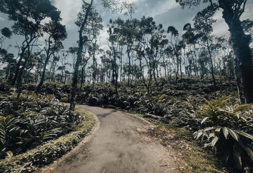 リゾートホテル Mystic Mayapott, Thekkady