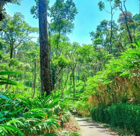 リゾートホテル Mystic Mayapott, Thekkady
