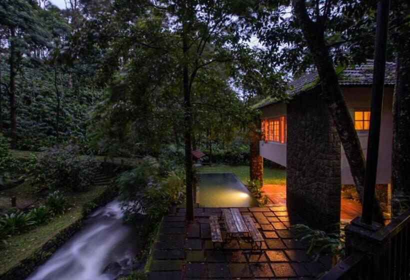 リゾートホテル Mystic Mayapott, Thekkady