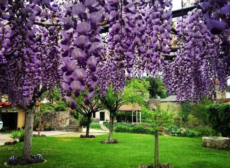 ベッドアンドブレックファースト Chambres Au Jardin Fleuri