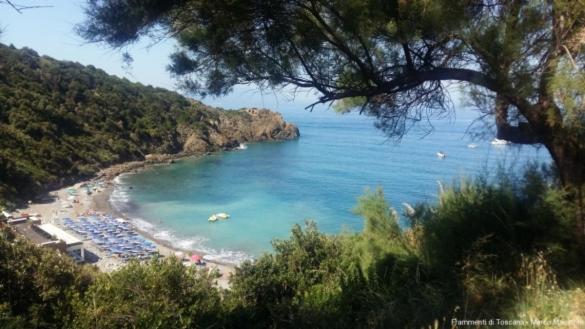 膳宿费 Affittacamere Stella Marina