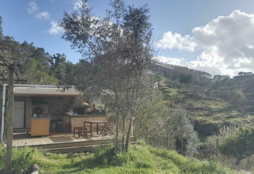 بنسيون Glamping Do Zê