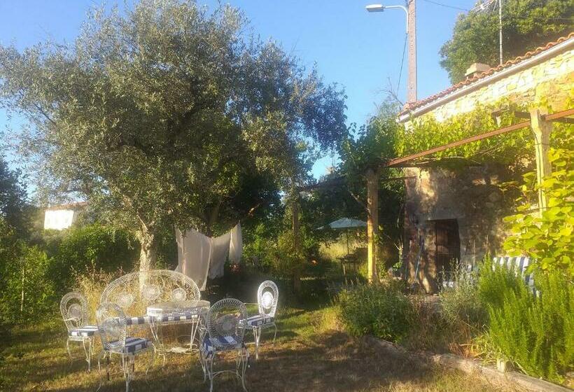 بنسيون Glamping Do Zê