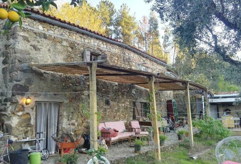 بنسيون Glamping Do Zê