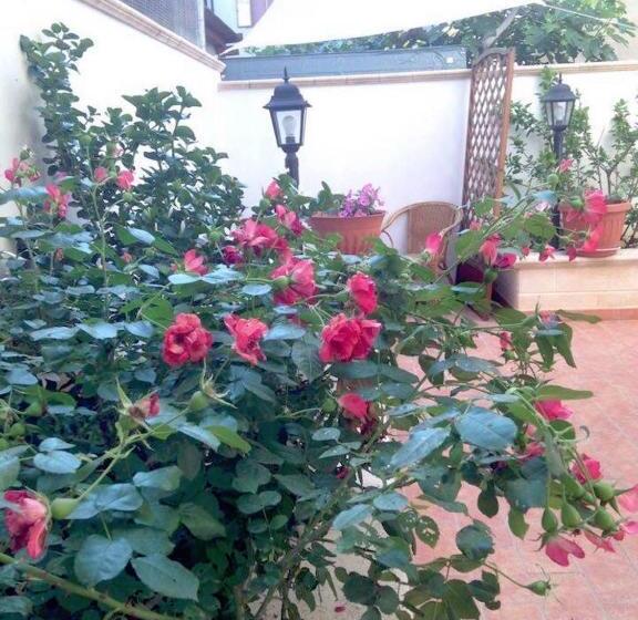 膳宿费 Jonico Guest House