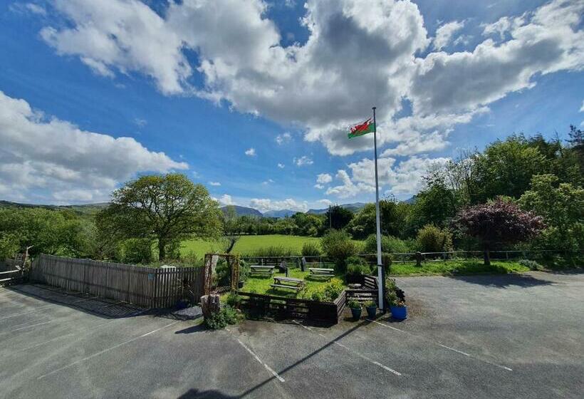 ユースホステル Basecamp Wales