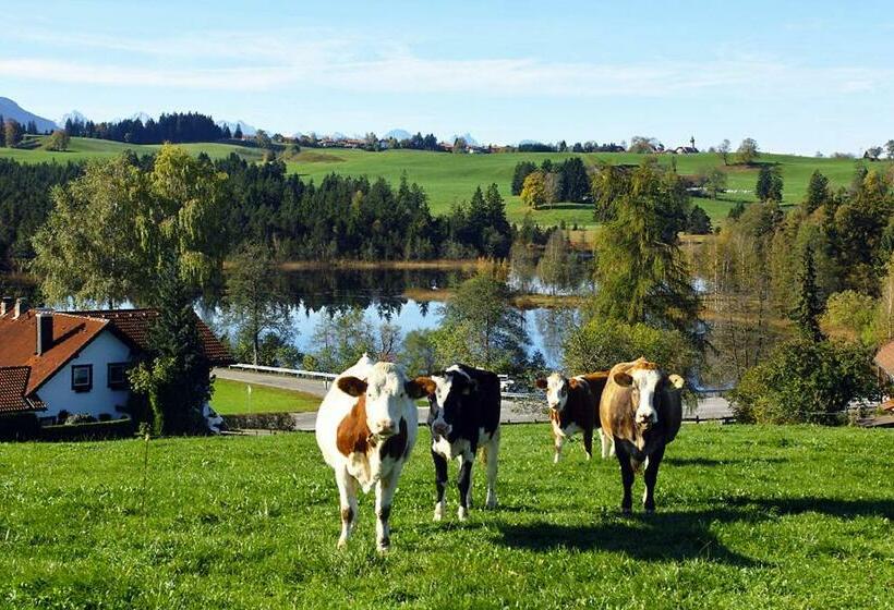 호스텔 Gasthof Zum Strauß