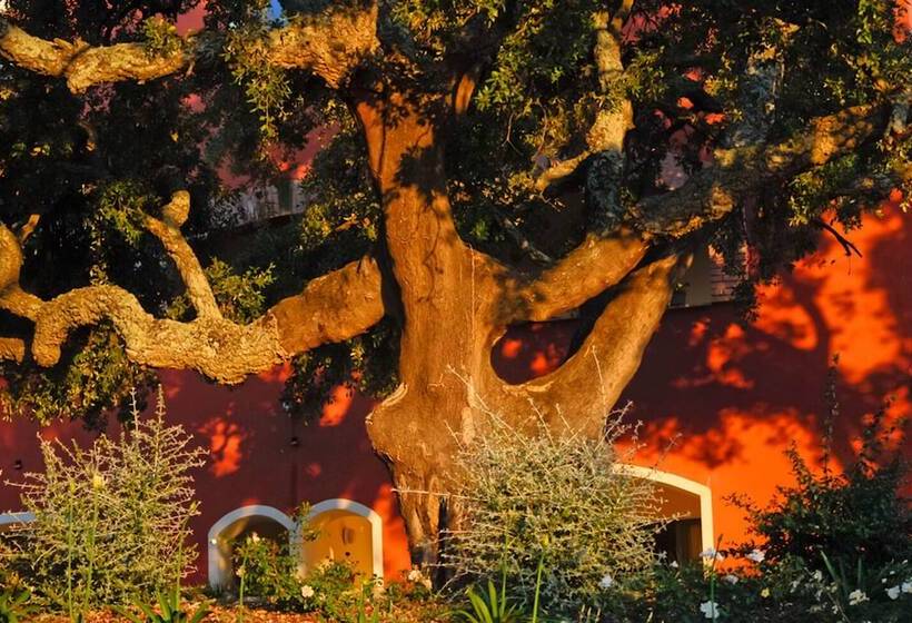 민박 Giardino Dei Sugheri