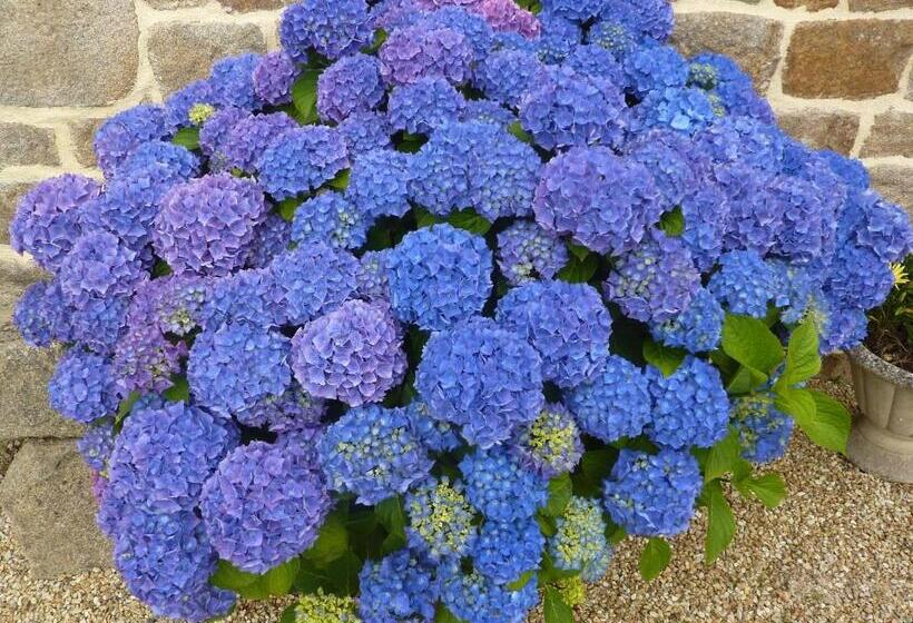 مبيت وإفطار La Kerandière