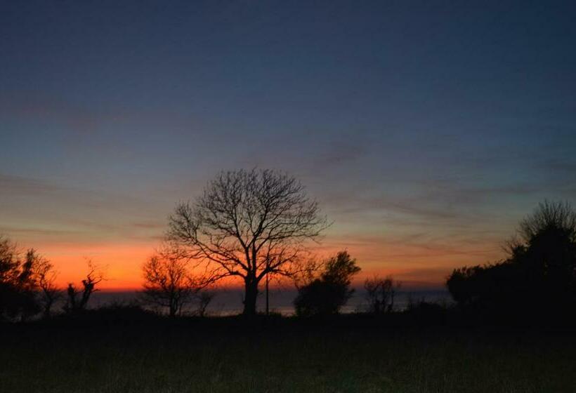 צימר Maison Du Bonheur