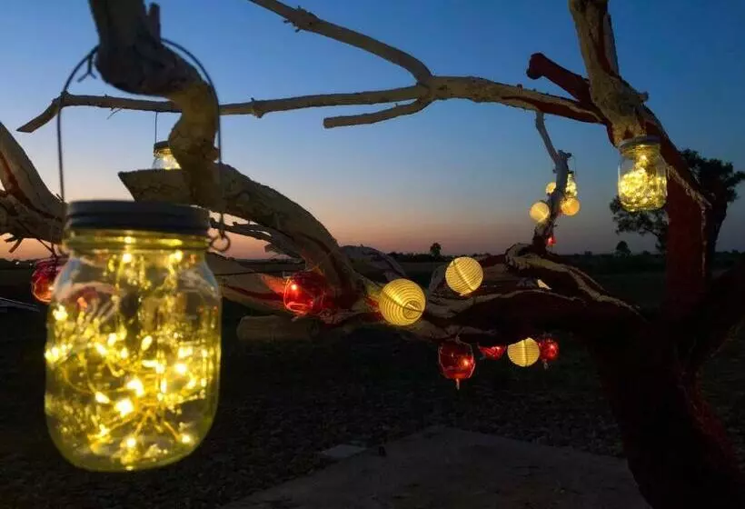 تختخواب و صبحانه Villa Cenzina