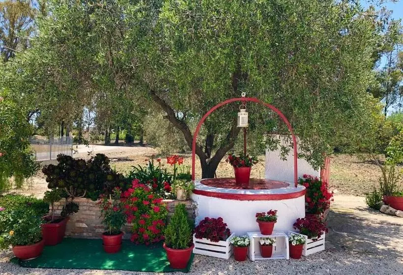 تختخواب و صبحانه Villa Cenzina