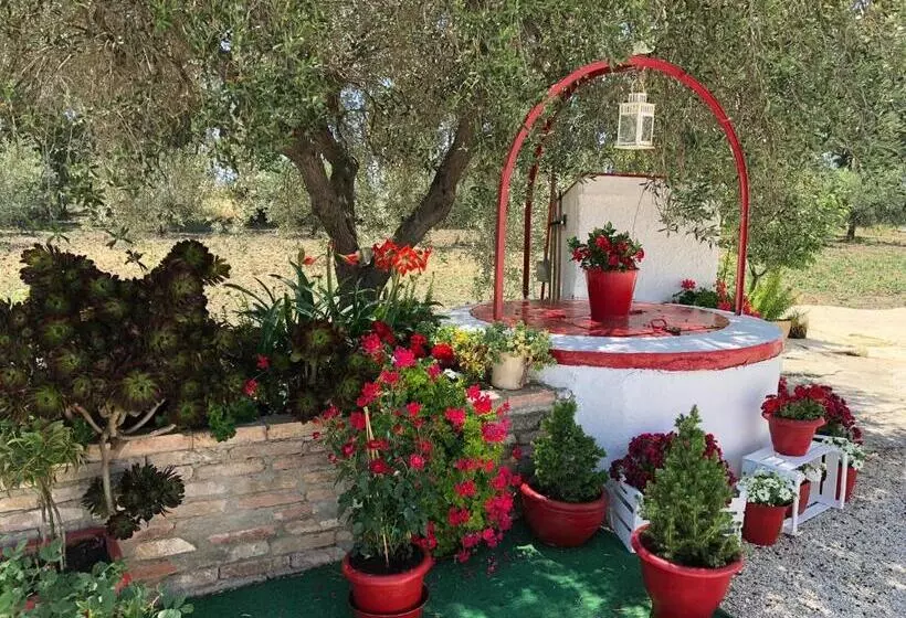 تختخواب و صبحانه Villa Cenzina