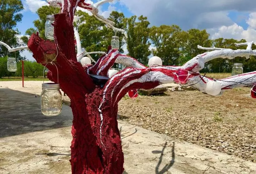 تختخواب و صبحانه Villa Cenzina