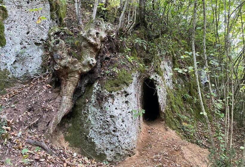 ホテル Agriturismo Montefosco