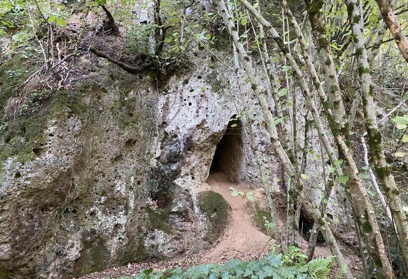 ホテル Agriturismo Montefosco