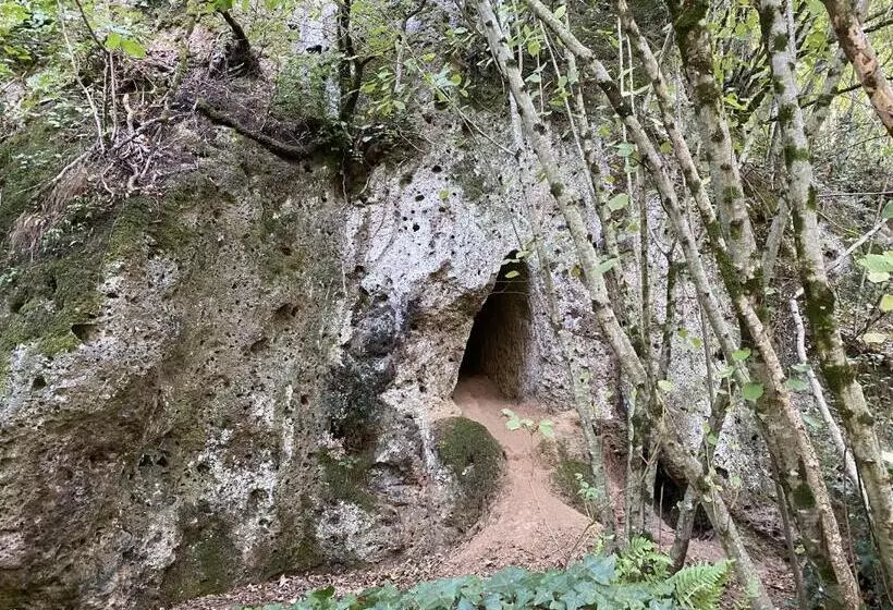 ホテル Agriturismo Montefosco