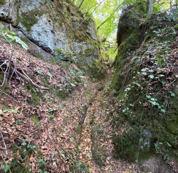 ホテル Agriturismo Montefosco