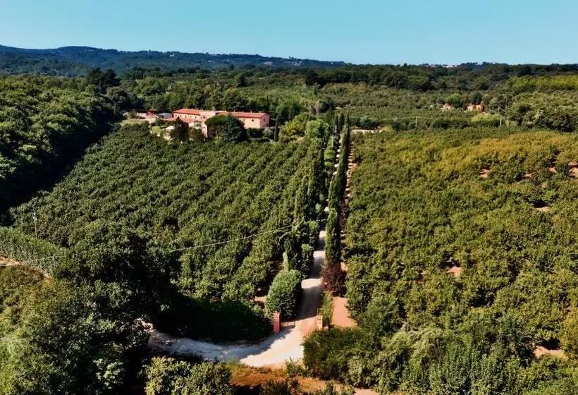 ホテル Agriturismo Montefosco