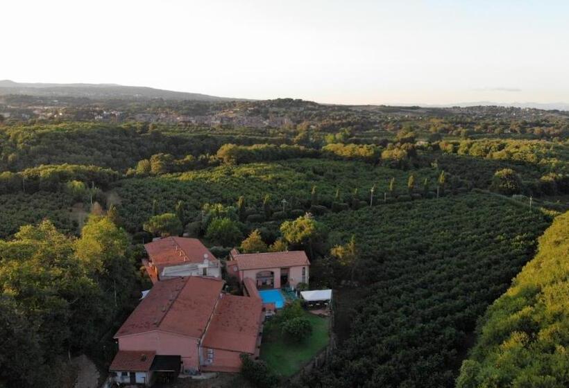 ホテル Agriturismo Montefosco