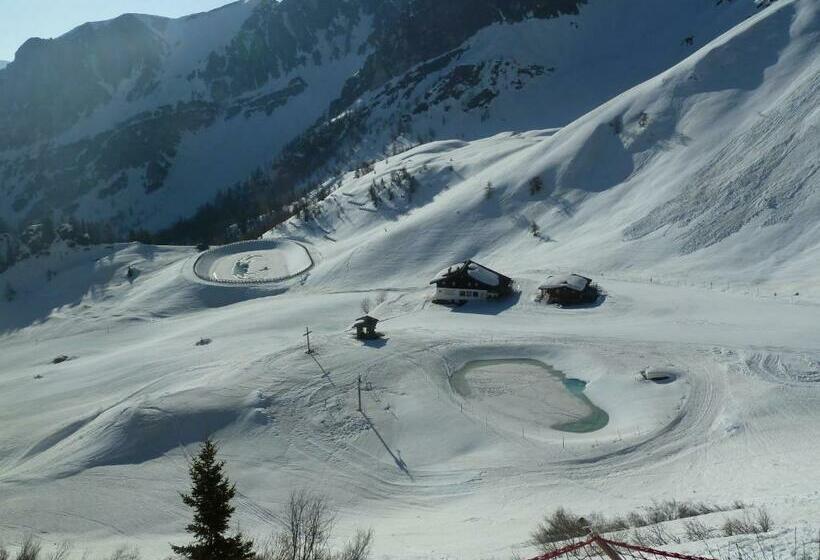 Отель Berggasthaus Edelweisshütte Ladurns