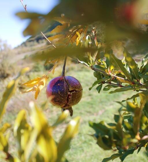Le Cascate Bed And Breakfast