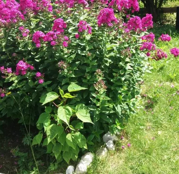 Majatalo Gästehaus Zunterer