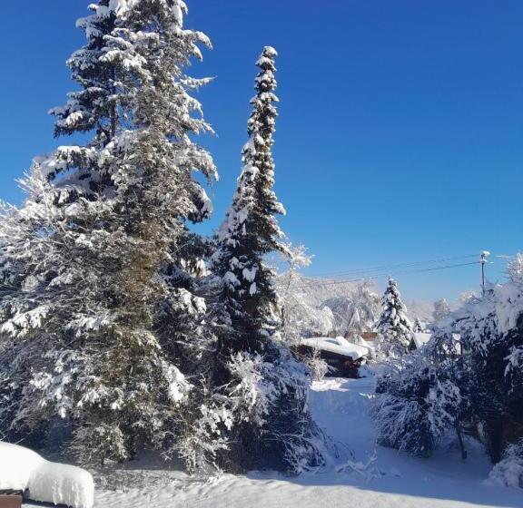 ペンション Gästehaus Zunterer