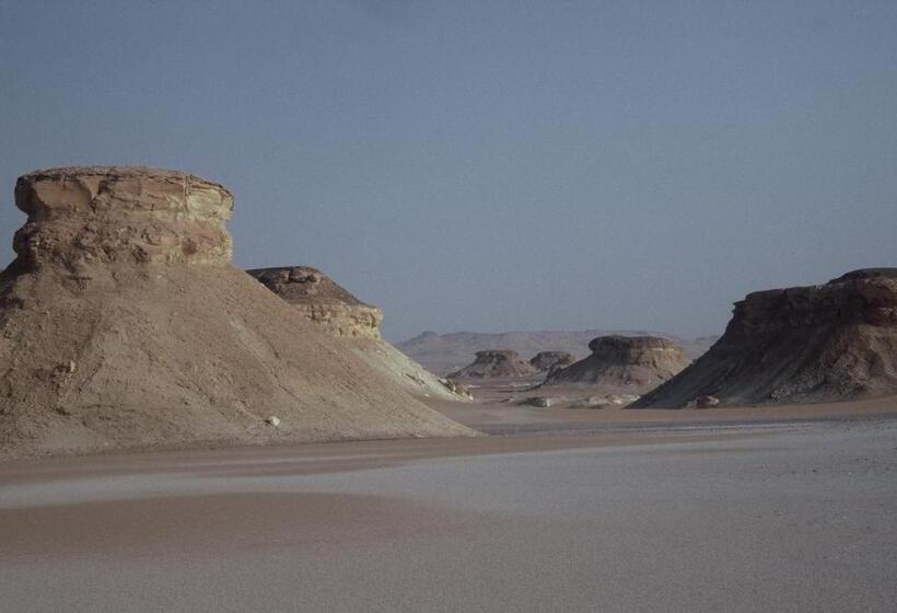Western Desert Hotel & Safari