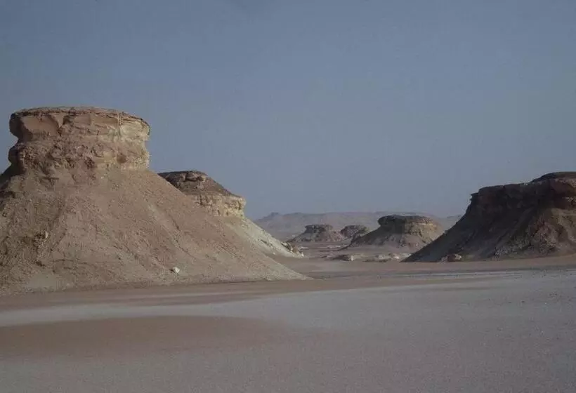 Western Desert Hotel & Safari