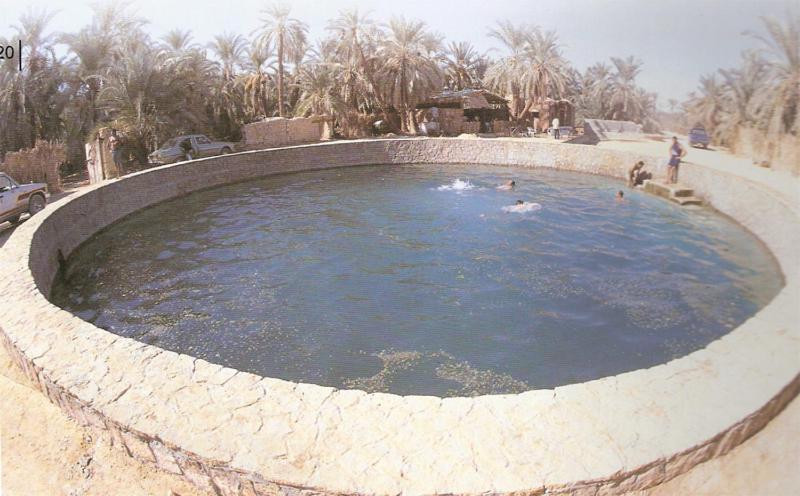 Western Desert Hotel & Safari