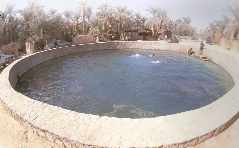 Western Desert Hotel & Safari