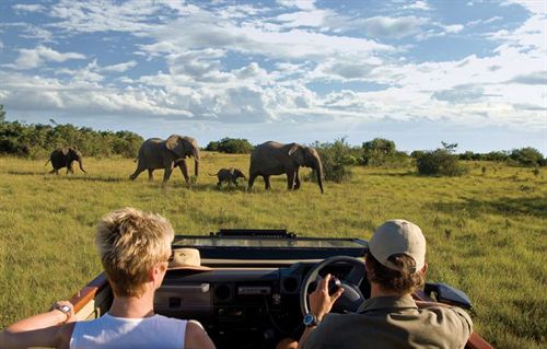 בית מלון כפרי Kichaka Lodge